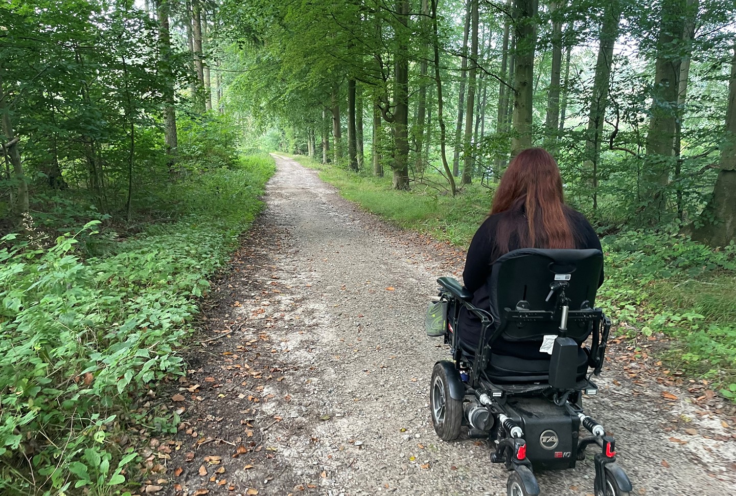 Faaborg-Midtfyn har flere ruter i naturen, som er handicapvenlige og tilgængelige for gangbesværede